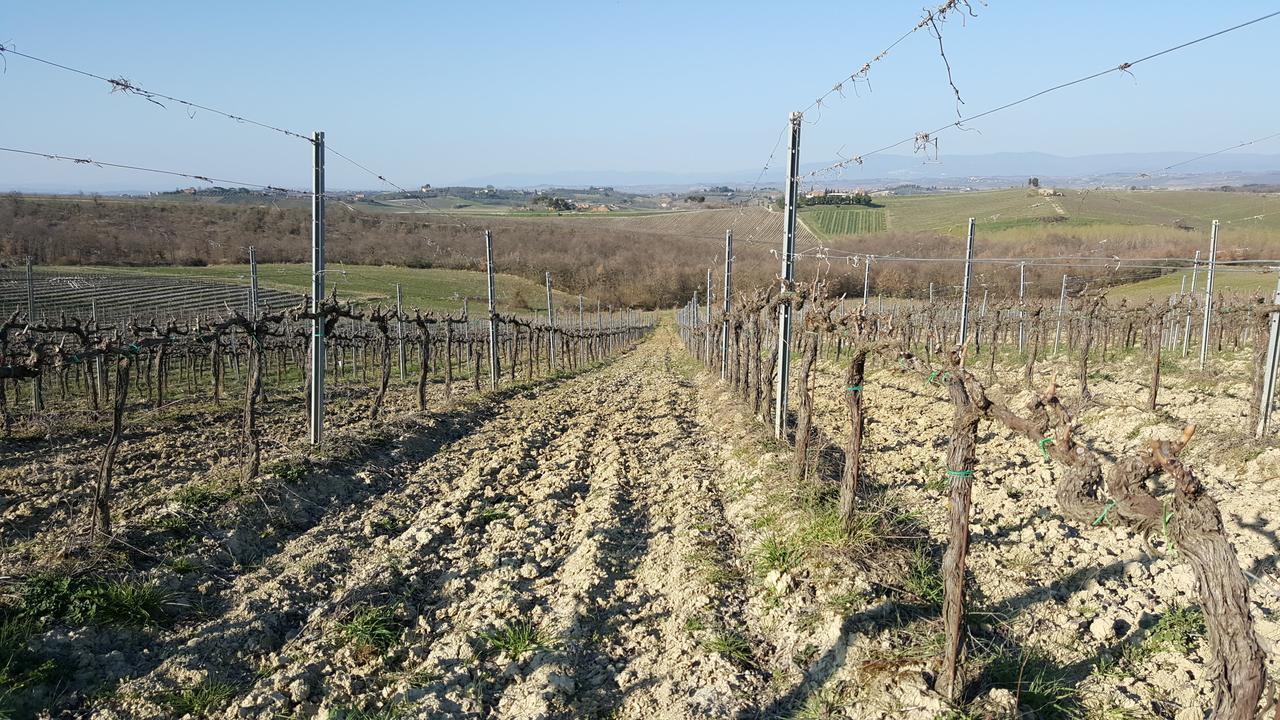 Agriturismo Podere Casa Al Vento Montepulciano Stazione Exterior foto